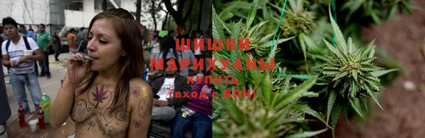 сатива Абдулино